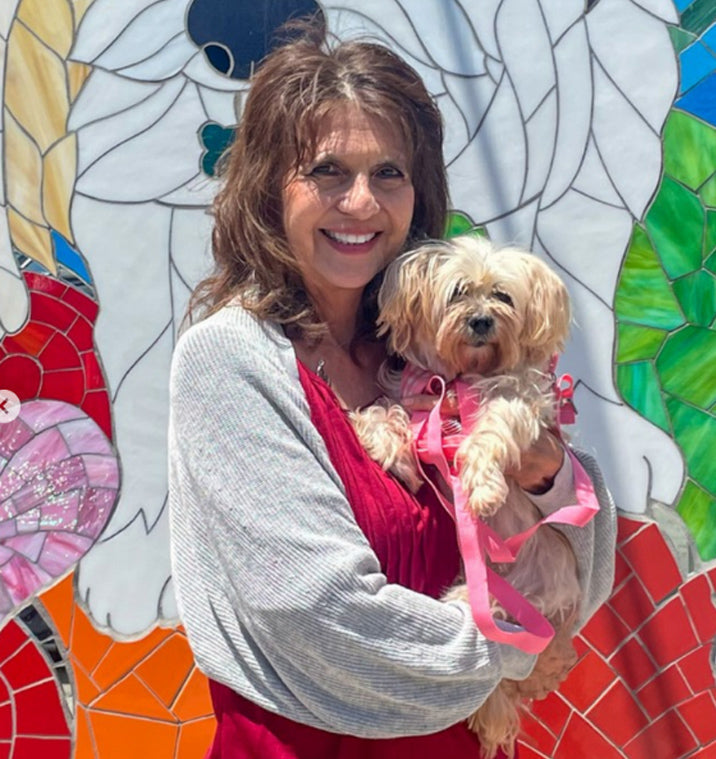 A Light for Every Life: glassybaby + Muttville Senior Dog Rescue