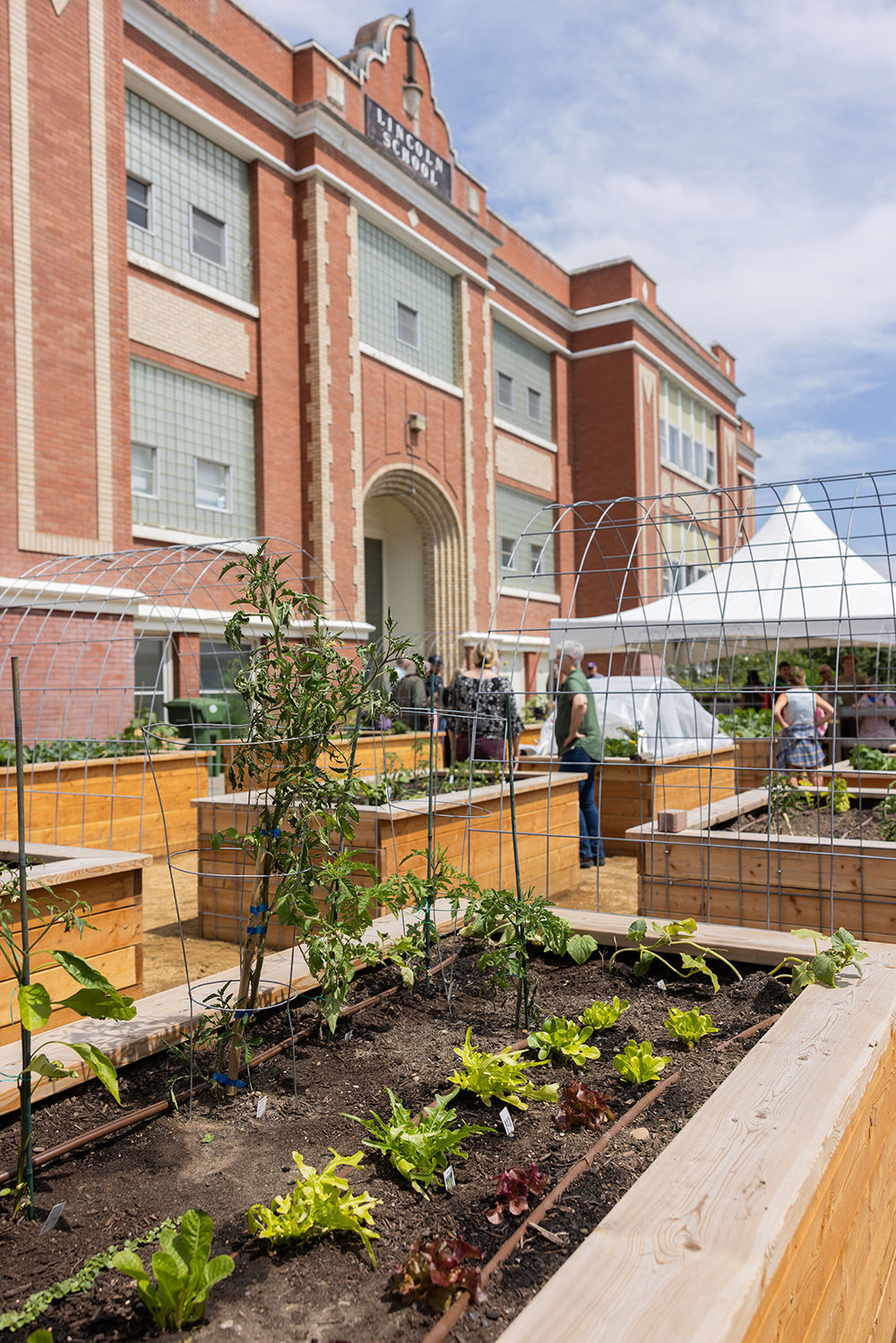 Farm to School Park County garden