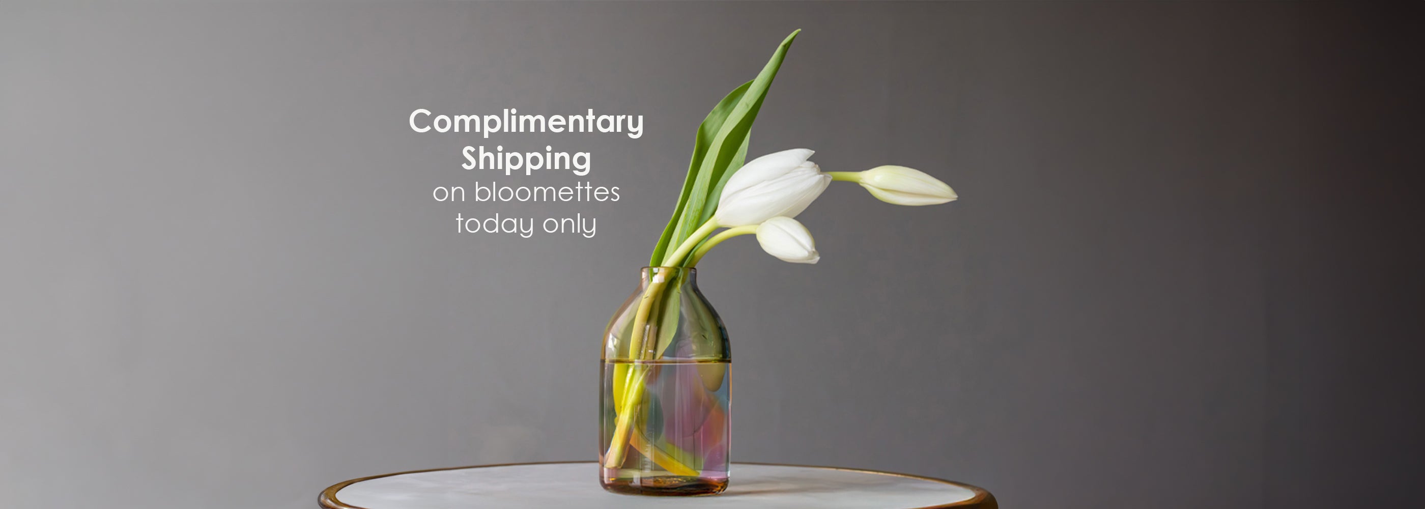 Bloomette Vases Complimentary Shipping