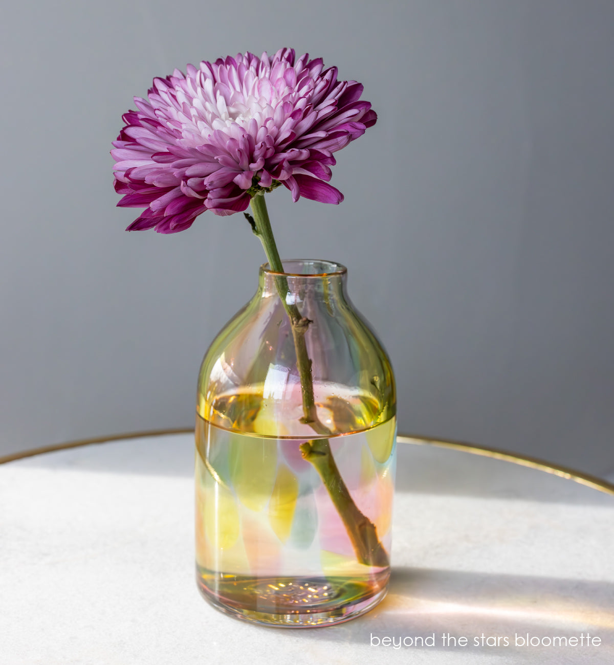 beyond the stars bloomette, a colorful hand-blown glass vase holding a purple flower on table.