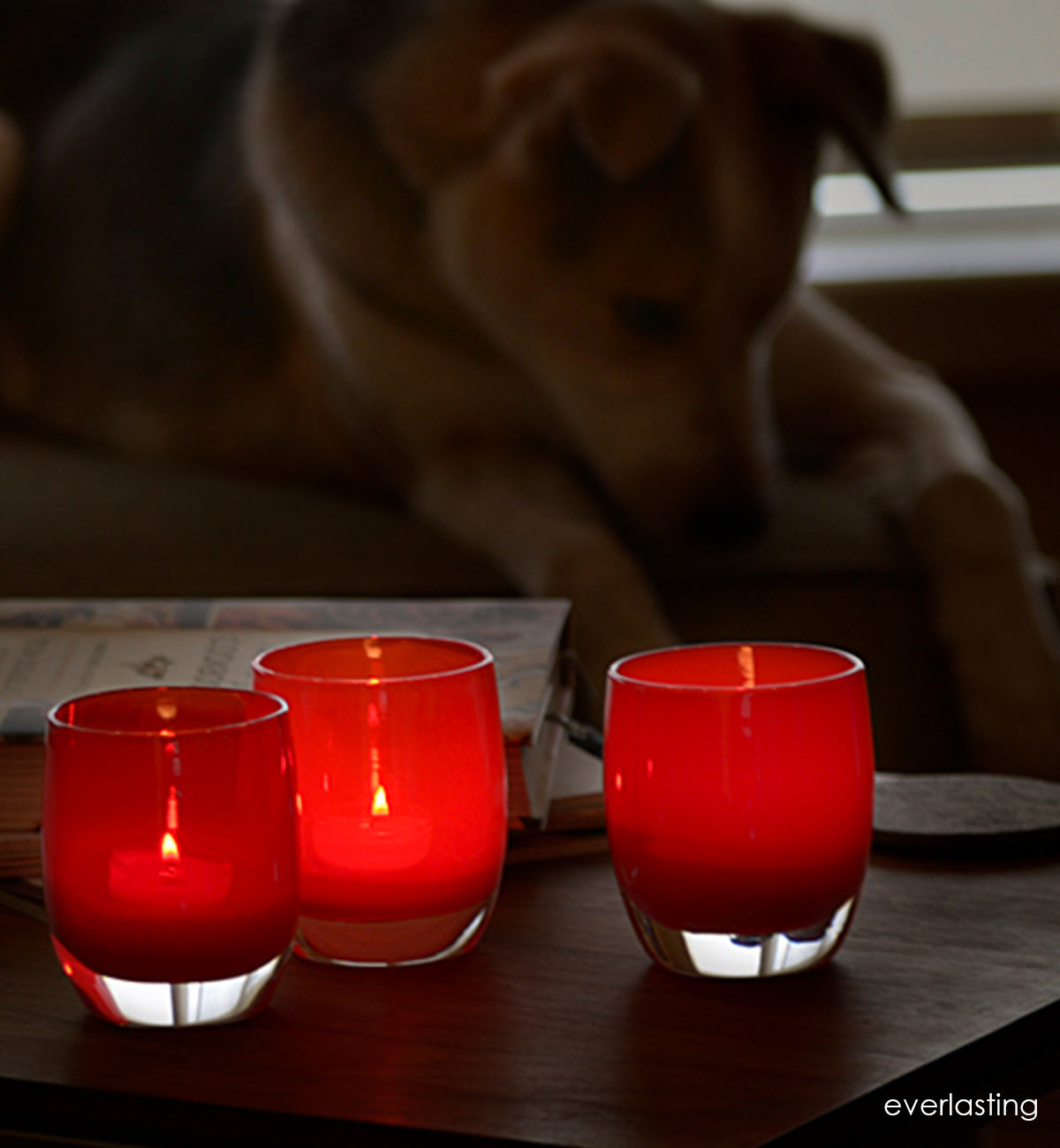 3 everlasting handblown glass candle holders grouped on a table with a dog in the background.
