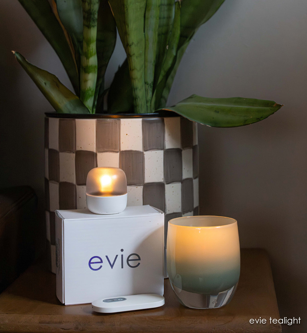 evie tealights