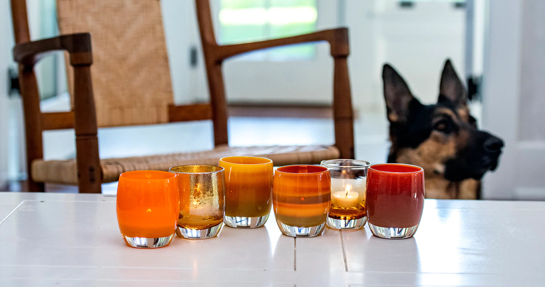 autumnal collection of hand-blown glass votive candle holders on table with dog in background