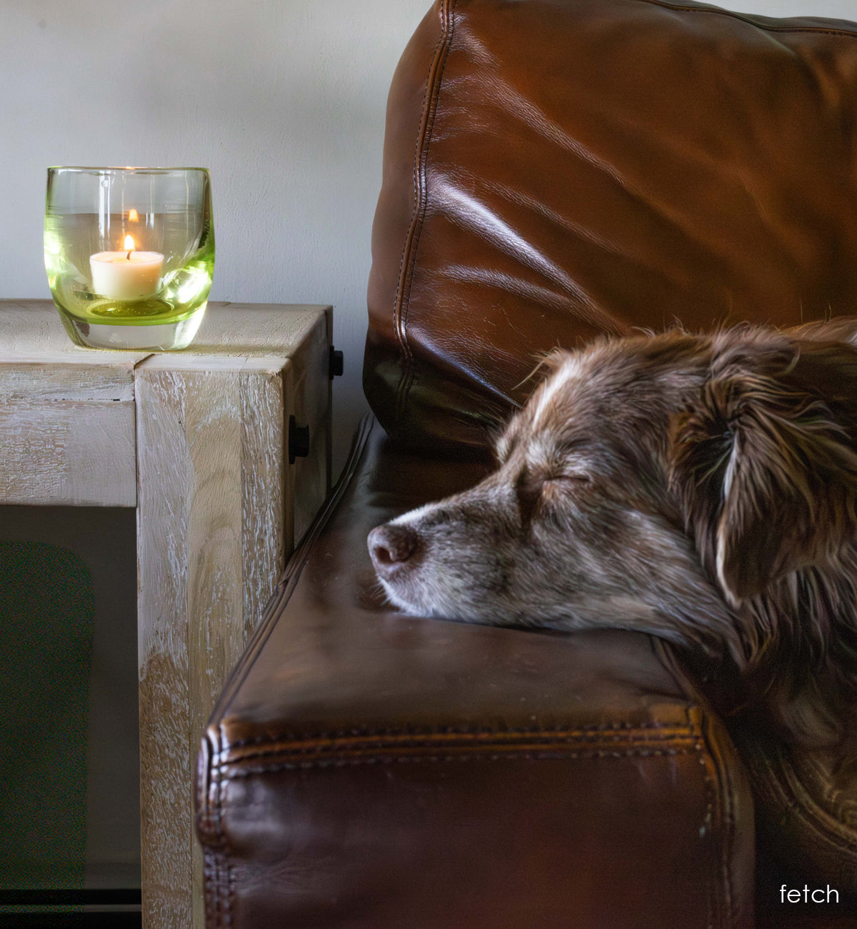 'fetch' green transparent glassybaby with a dog sleeping in a chair.