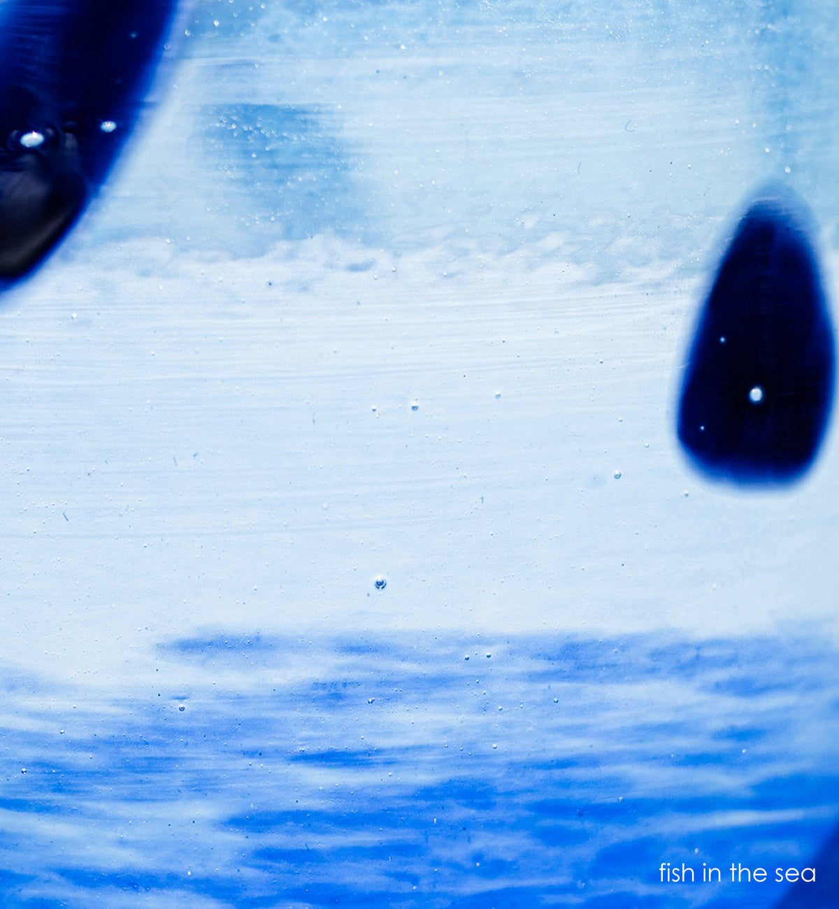 fish in the sea