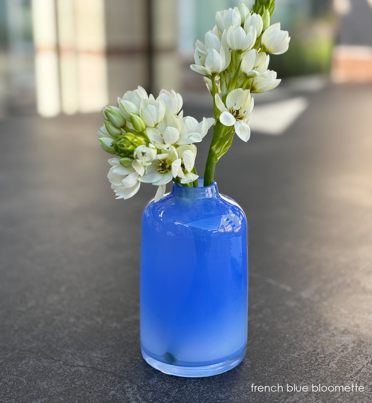 blue glass vase for money plant french blue bloomette | opaque blue hand-blown glass flower bud vase