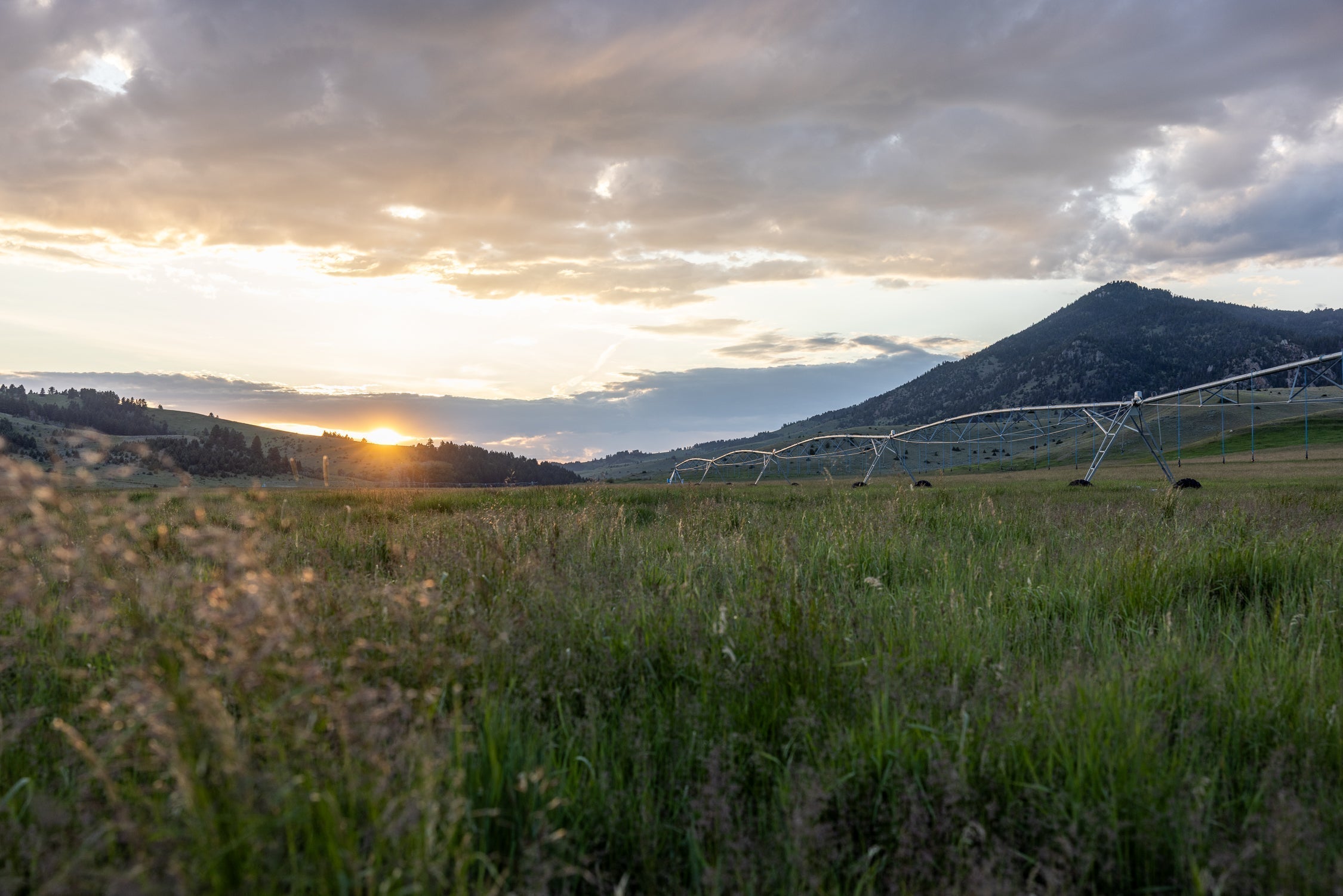 Help Protect the Places We Love