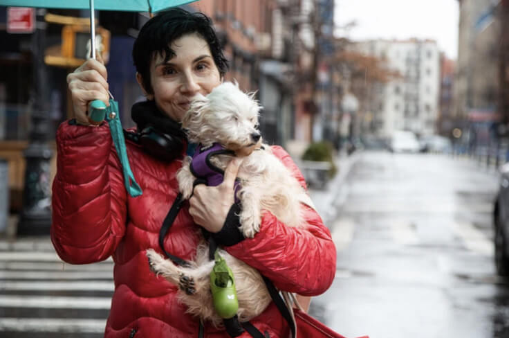 woman in red coat holding umbrella and small white dog