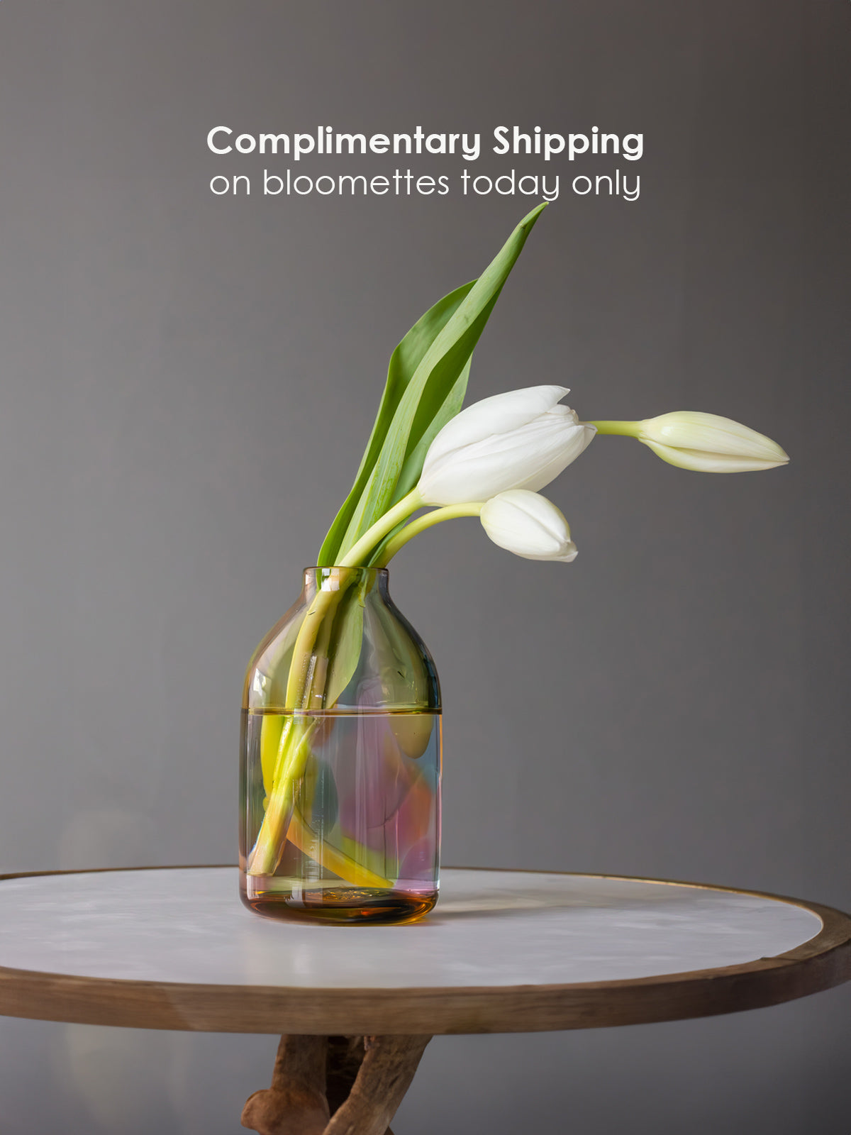Bloomette Vases Complimentary Shipping