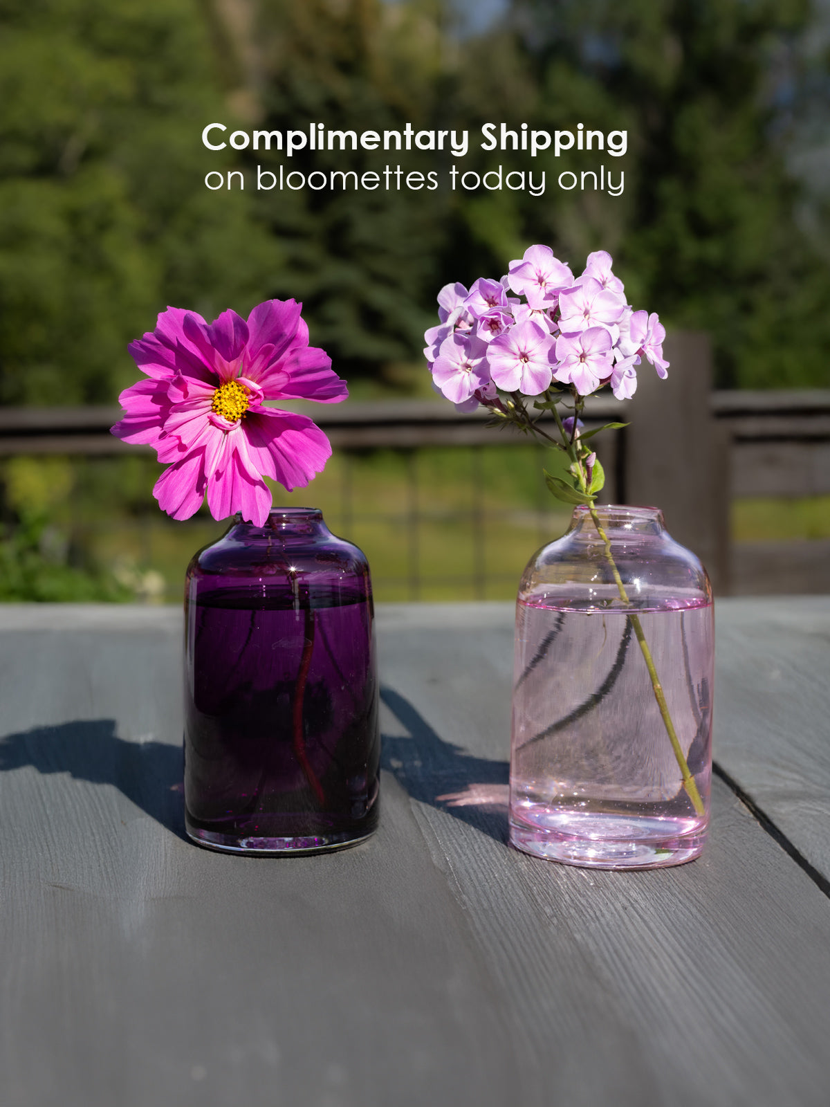 Bloomette Vases Complimentary Shipping