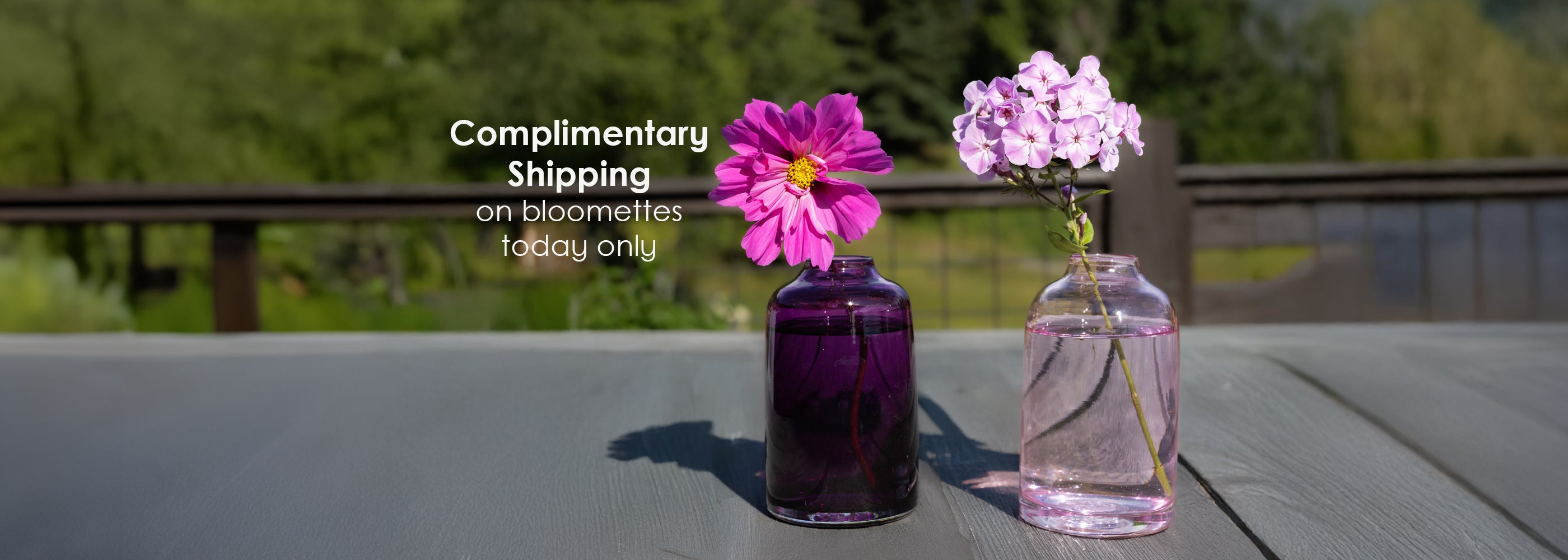 Bloomette Vases Complimentary Shipping