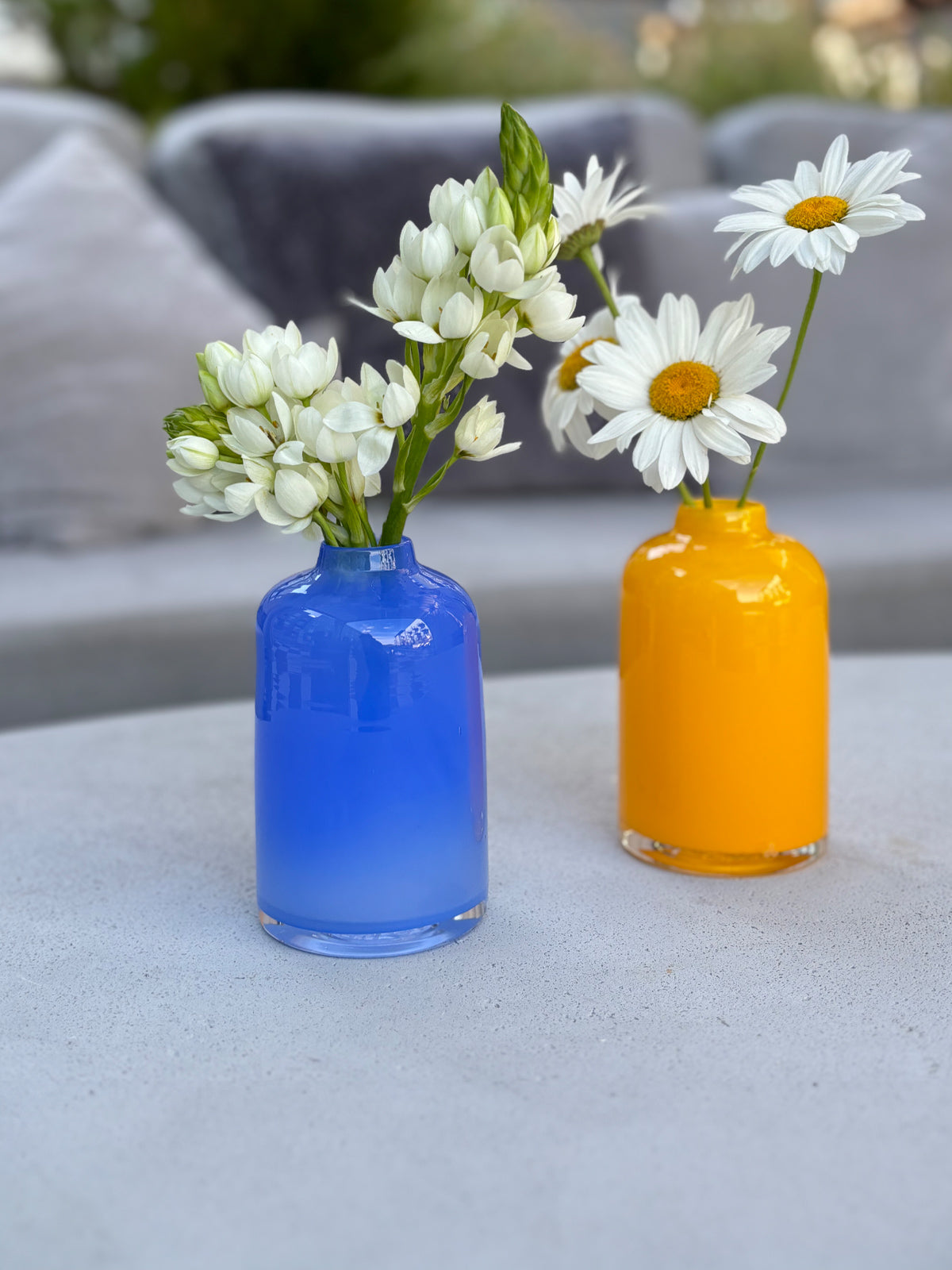 french blue bloomette and marigold bloomette with white flowers on gray table in front of gray couch.