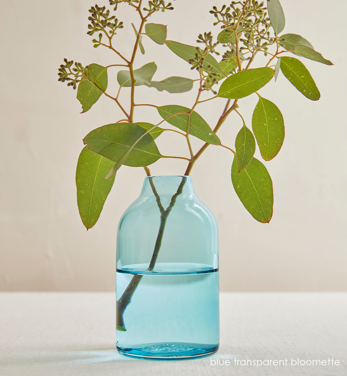 blue transparent bloomette, light transparent blue hand-blown glass flower bud vase with a green budding plant in front of a cream background.