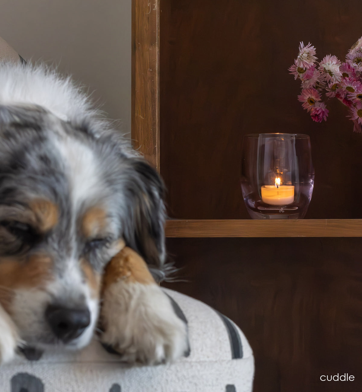 'cuddle' pink transparent glassybaby hand-blown glass candle holder sitting on a shelf with a sleeping dog next to it in a chair