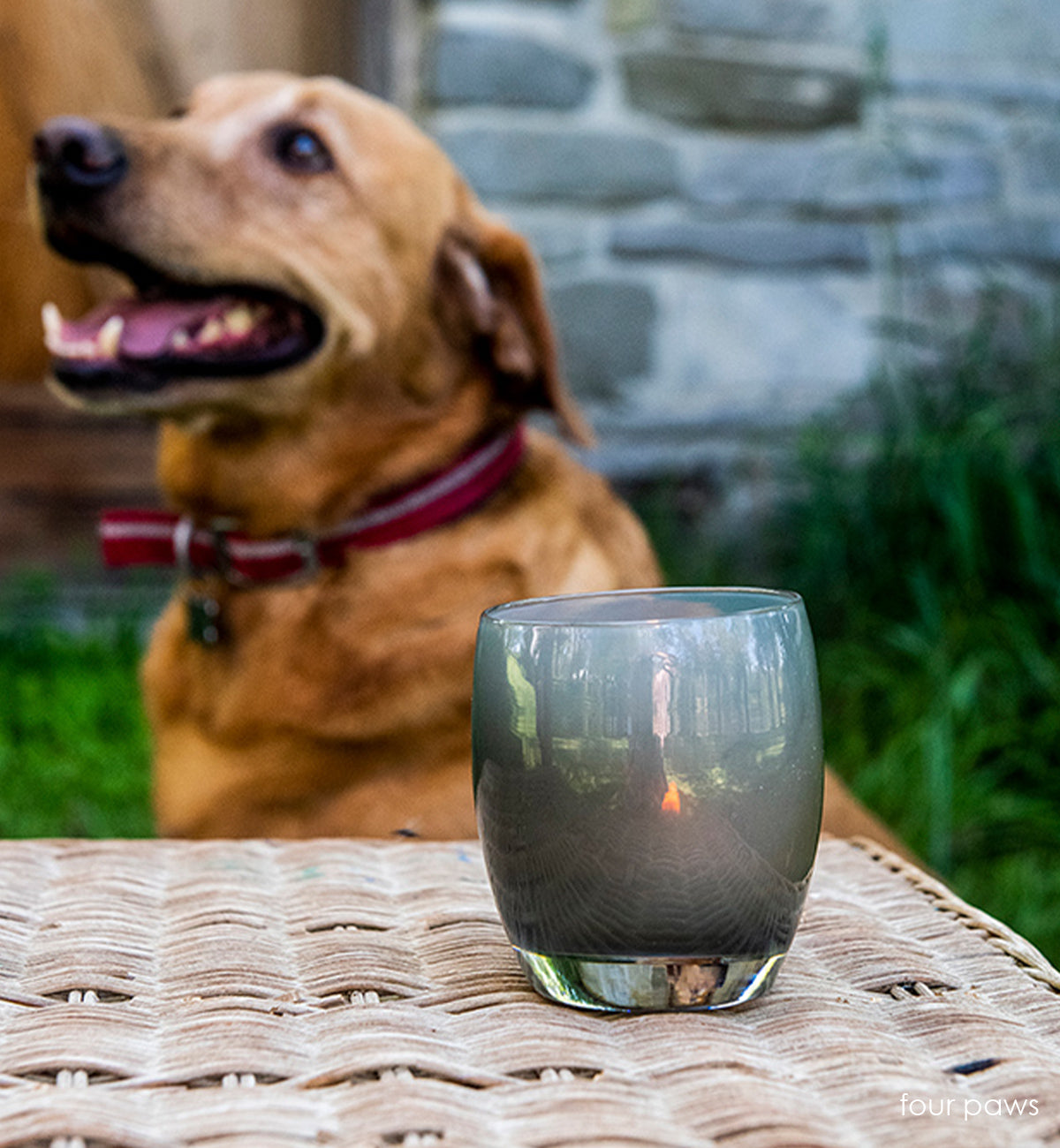 four paws smokey gray hand-blown glass votive candle holder sitting on outdoor table with large dog sitting behind.