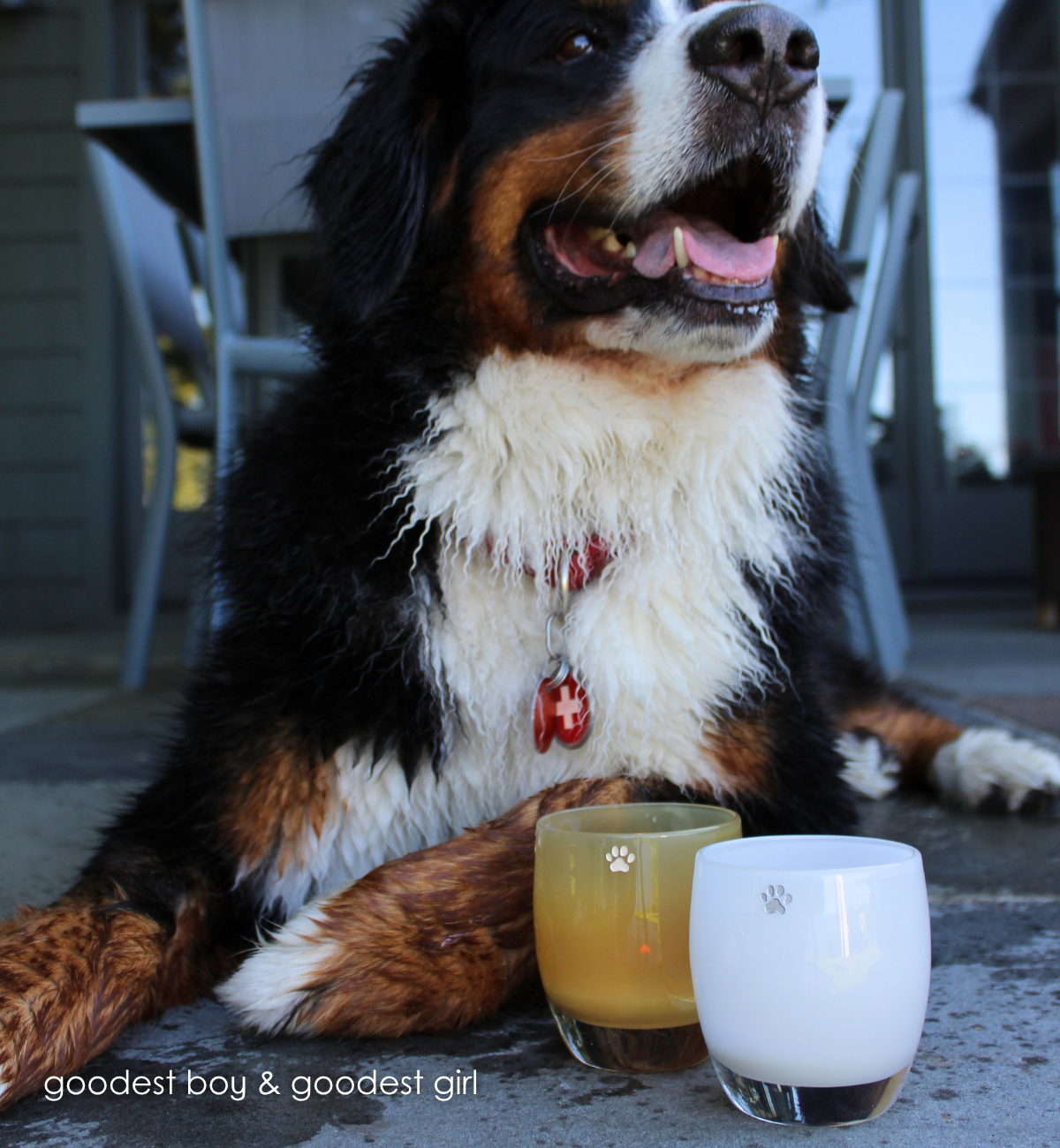 'goodest boy' and 'goodest girl' candle holders with dog on porch. 