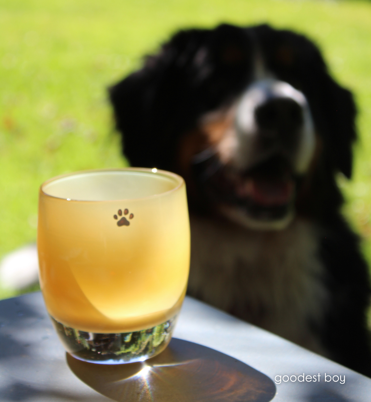 'goodest boy' and 'goodest girl' candle holders with dog in background.