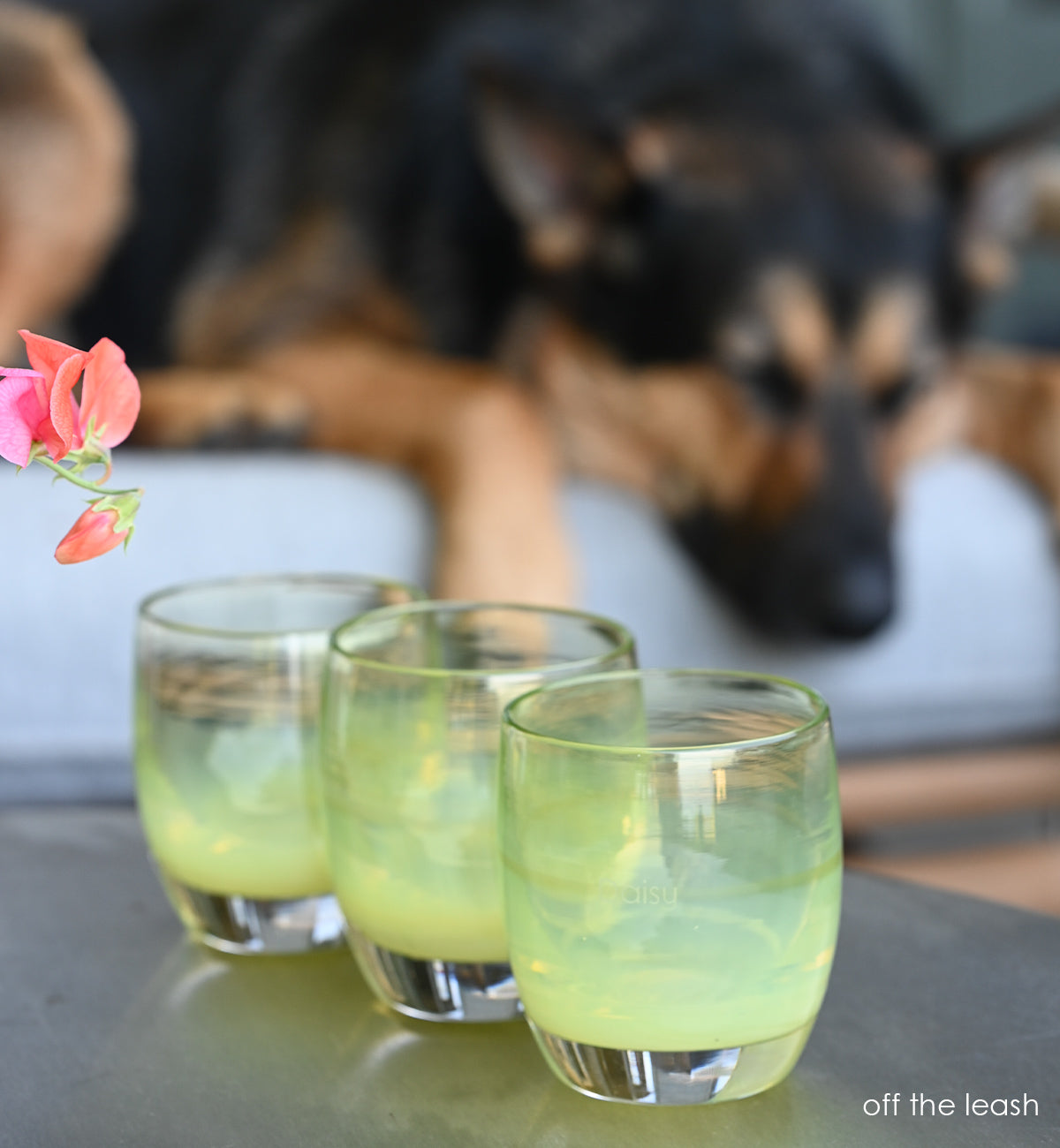 three off the leash moss green hand-blown glass votive candle holders. transparent towards the top. sitting on a coffee table with flower and dog in background.