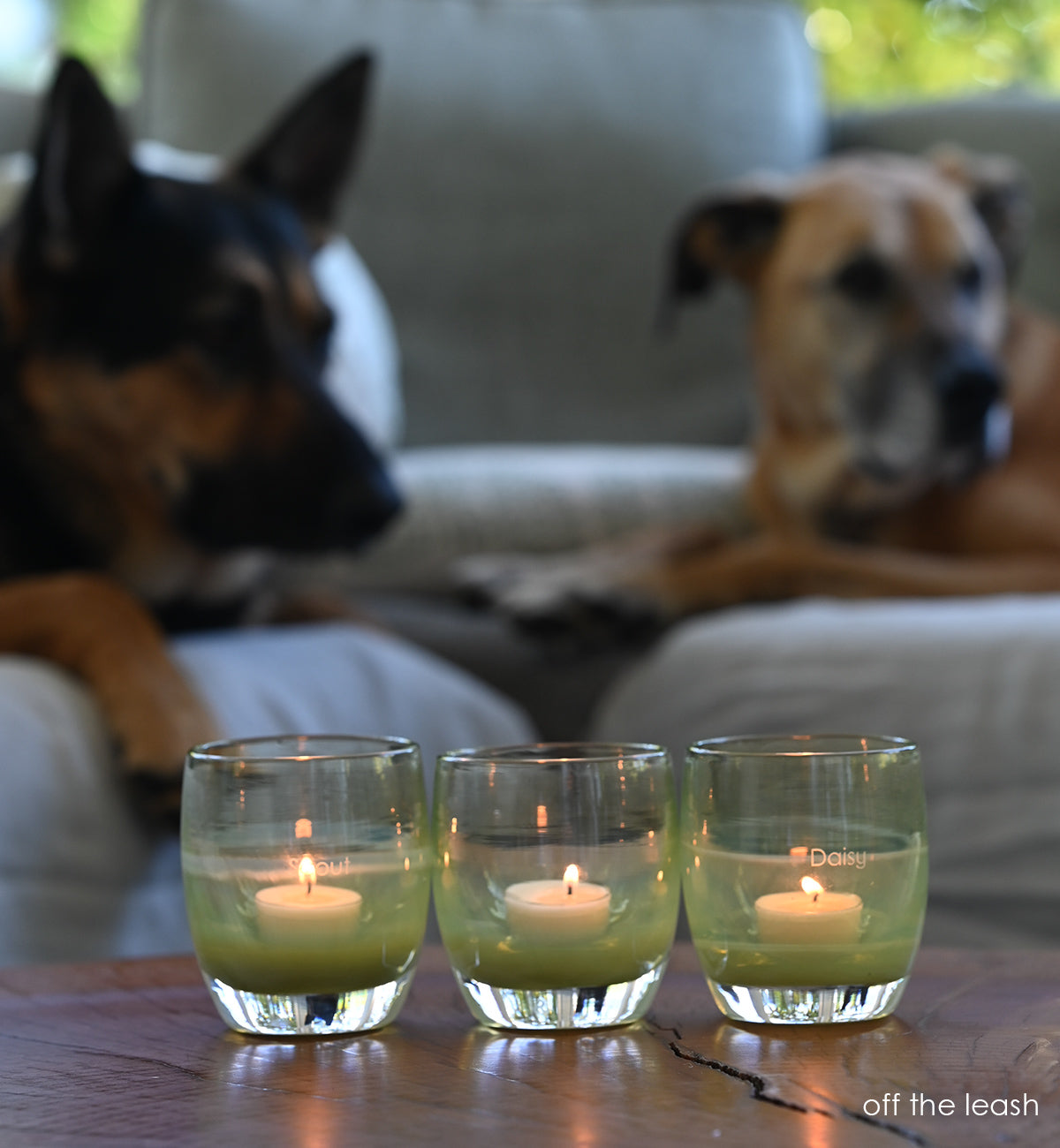 off the leash is a moss green hand-blown glass votive candle holder. transparent towards the top.