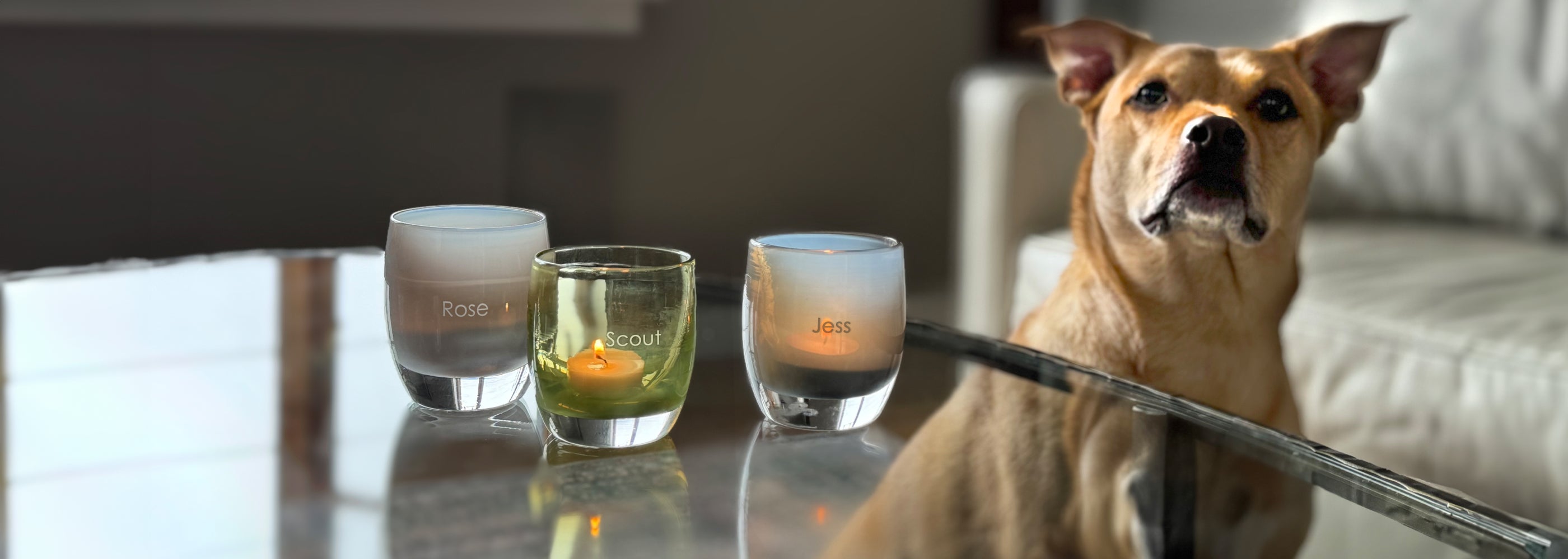 2 grey and one green glassybaby with names etched on them sitting on a glass coffee table with brown dog in the background.