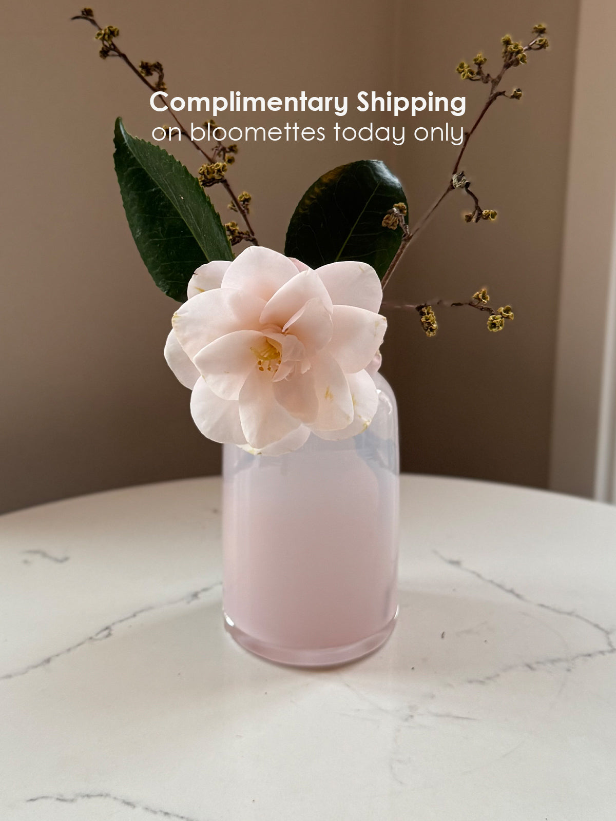Bloomette Vases Complimentary Shipping