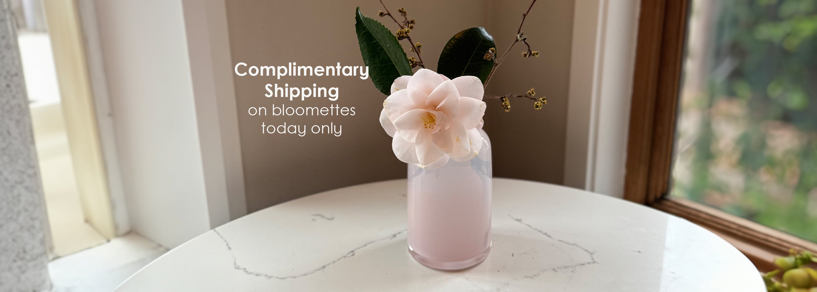 Bloomette Vases Complimentary Shipping