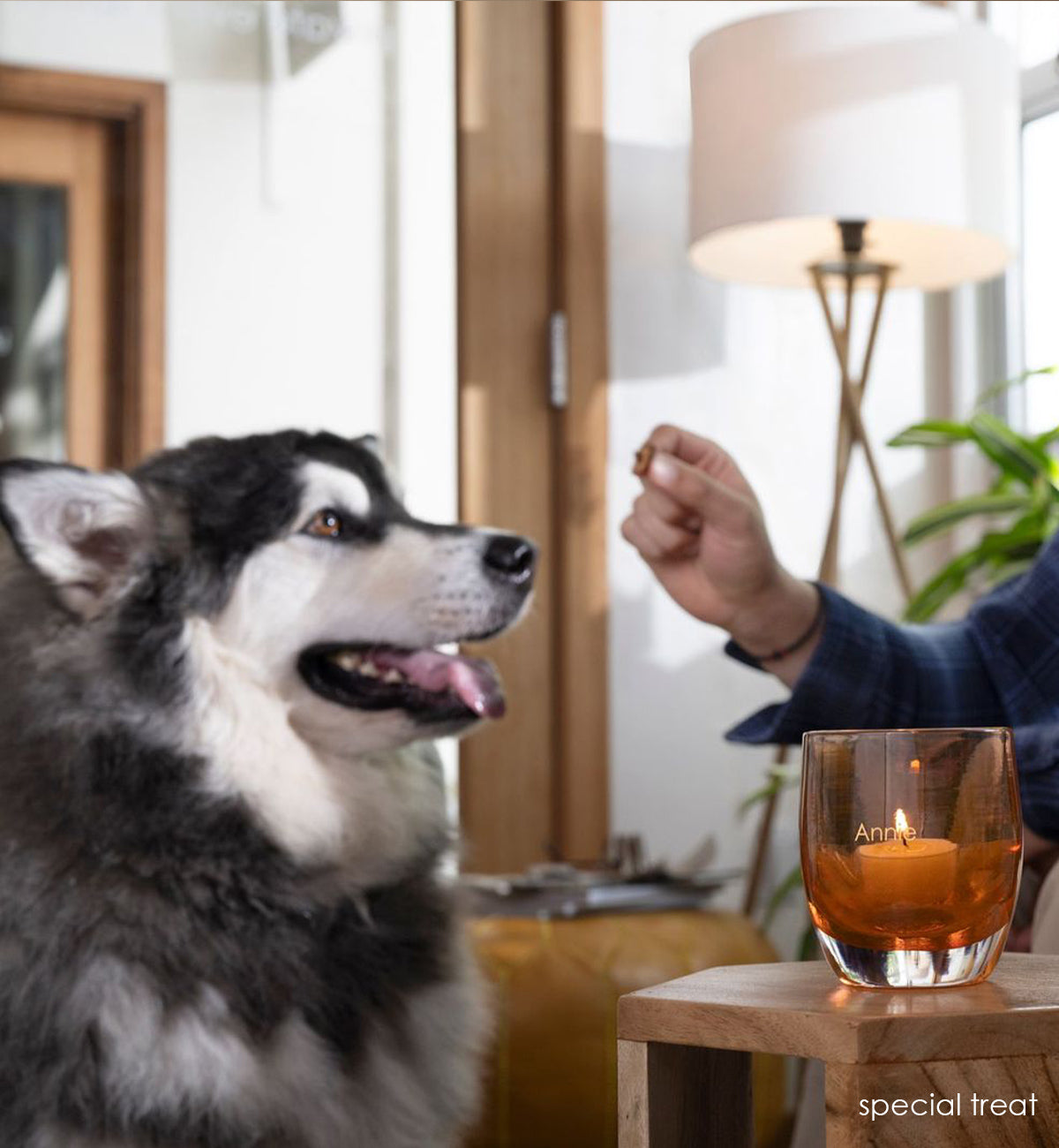 special treat, rustic orange transparent hand-blown glass votive candle holder with "Annie" etched on. Dog receiving a treat in background.