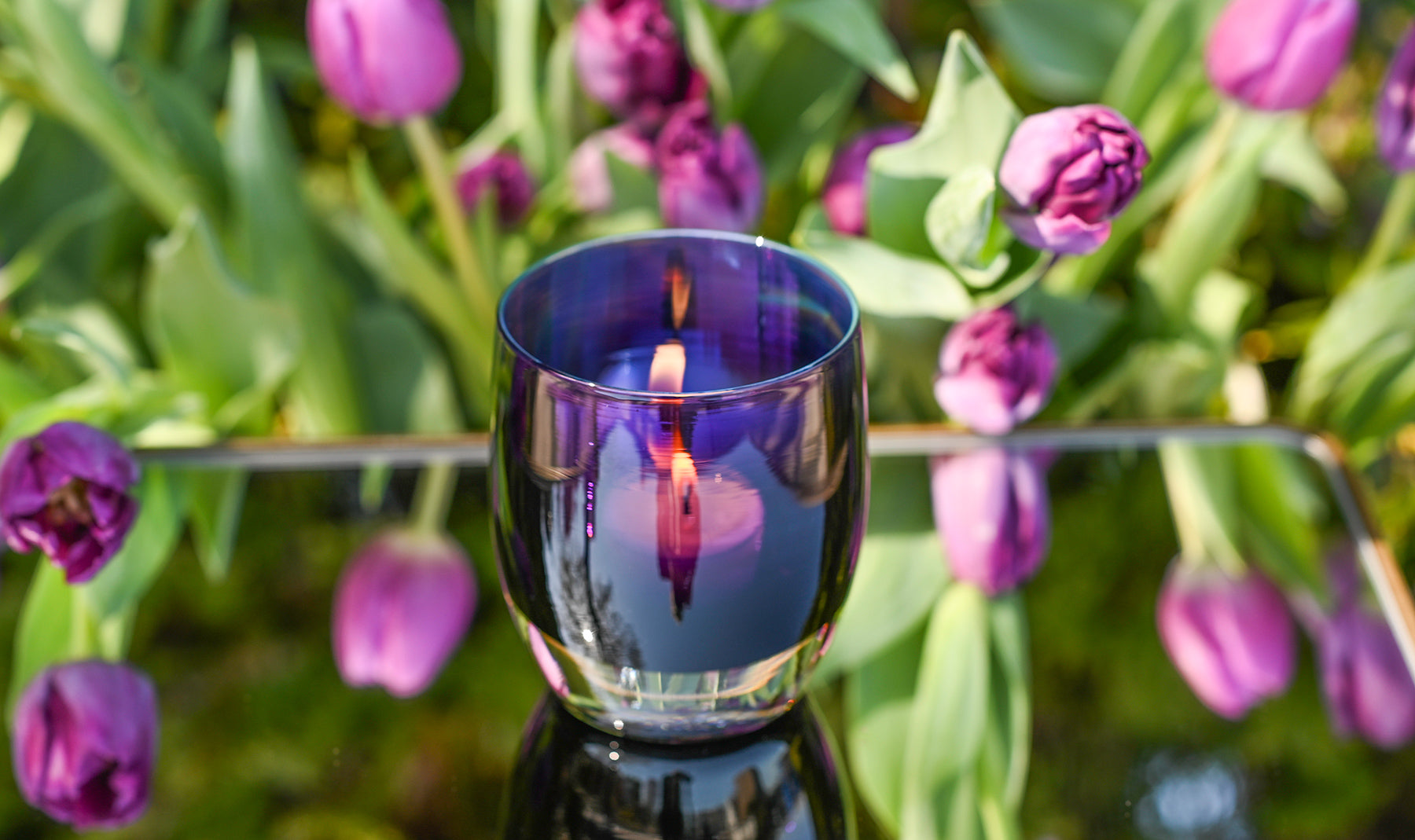 tulip, beautiful deep purple hand-blown glass votive with an iridescent inside sitting on a table in a field of tulips.