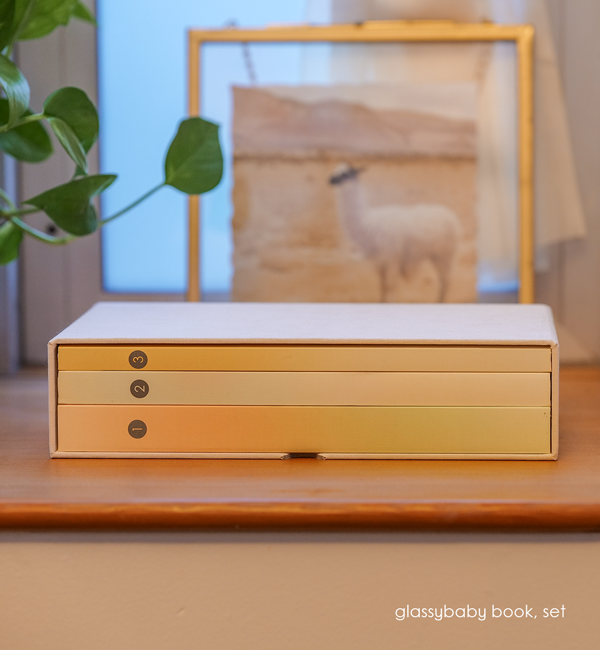 coffee table books of glassybaby volume collection on a counter with a plant and framed llama photo in background.