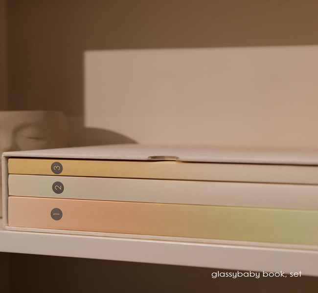 coffee table books of glassybaby volume collection on a bookshelf.