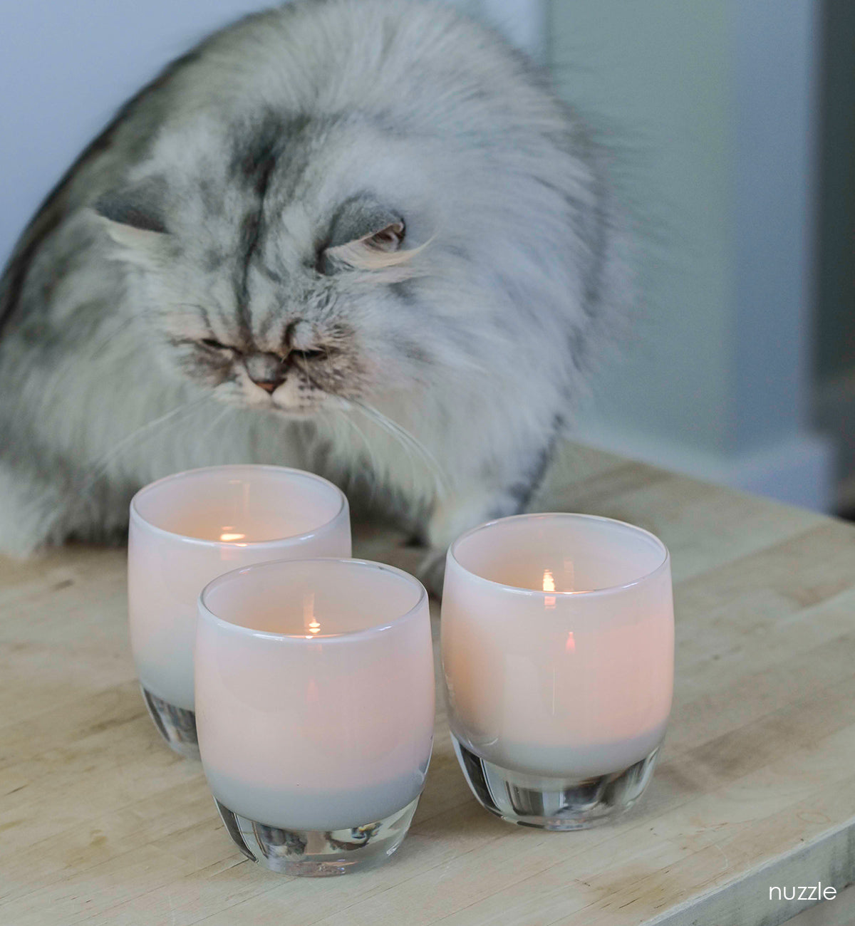 nuzzle grey hand-blown glass votive candle holder on a kitchen counter with a large kitty behind.