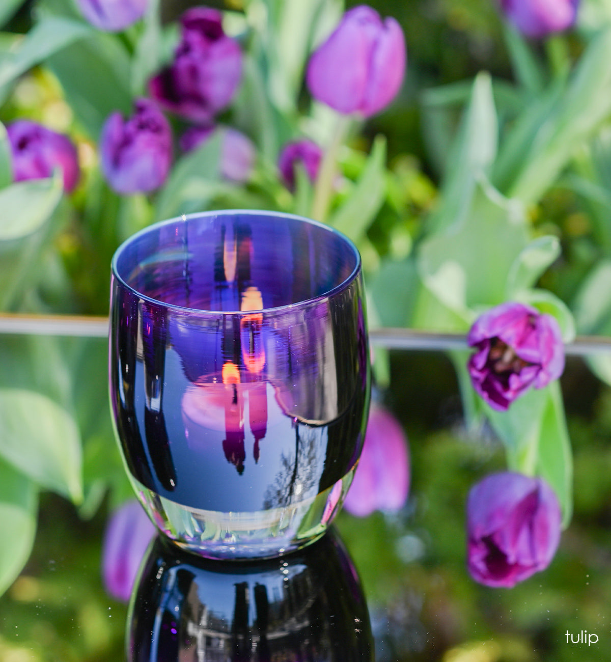 tulip, dark purple with silver metallic interior, hand-blown glass votive candle holder on an outdoor reflective surface with purple tulips in the background.